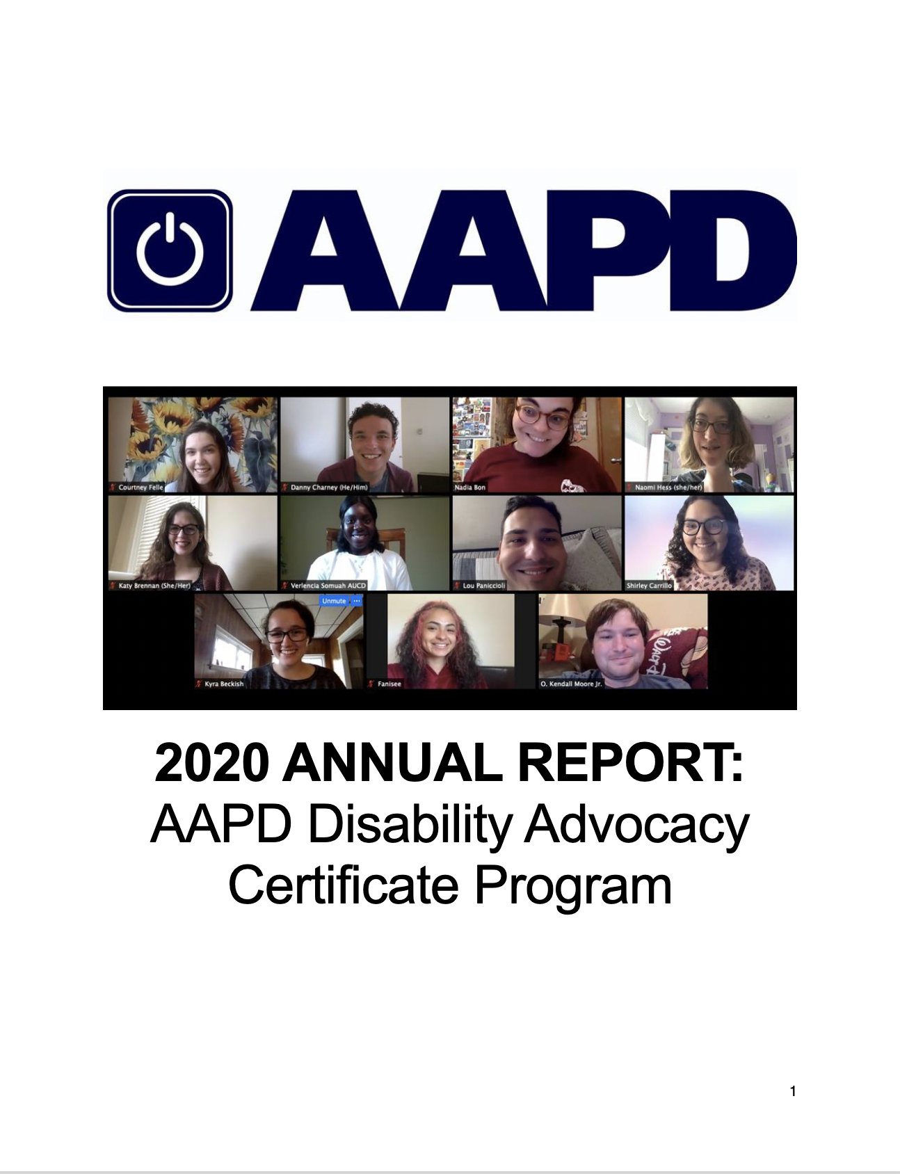 screenshot of report front page with AAPD logo above image of 11 zoom participants and report title
